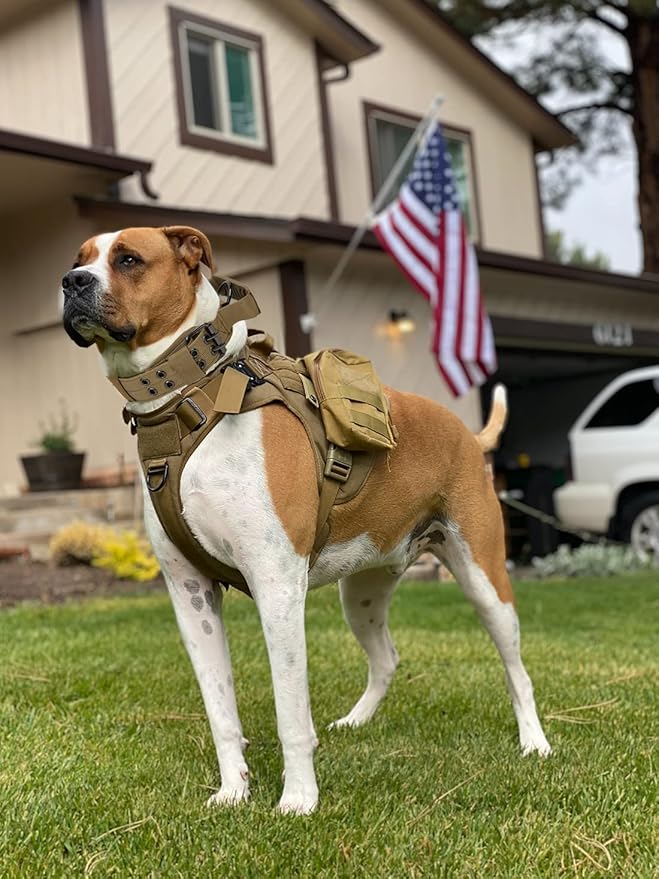 Tactical Dog Collar with Handle - Military Adjustable Dog Training Collar Soft Nylon and Heavy Duty Metal Buckle for Medium Large Dogs - with Patch (Brown with Patch, X-Large)