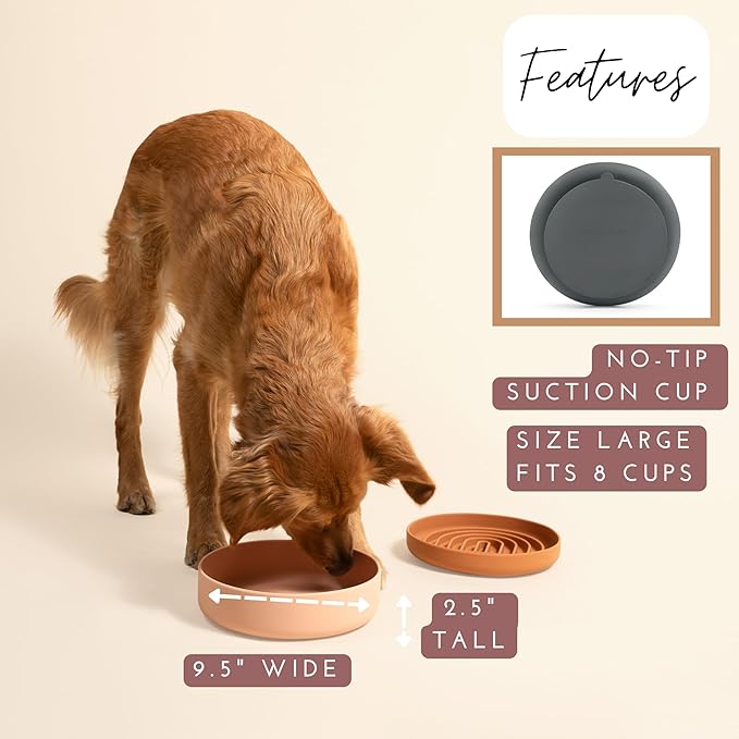 Should We Go? Dog Water Bowl - The Perfect Dish No-Spill, Less Mess Non-Tippable Water & Food Bowl, Pure Silicone with Suction Cup Fits 8 Cups 9.5" Across x 2.5" Tall, Ideal for All Pets, Large-Spruce