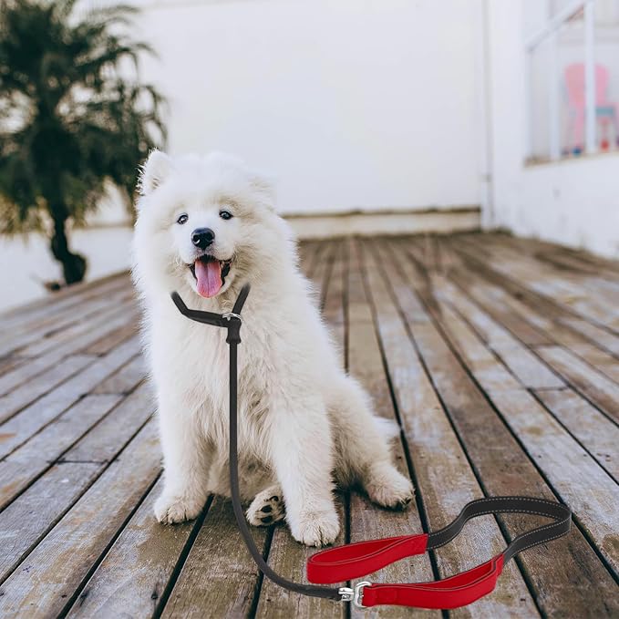 Slip Lead Dog Leash With Double Handle, Reflective Training [360 Swivel Anti-Tangle] Heavy Duty Nylon Slip and Collar for Medium Large Small Dogs No Pull Walking 5FT Black Red