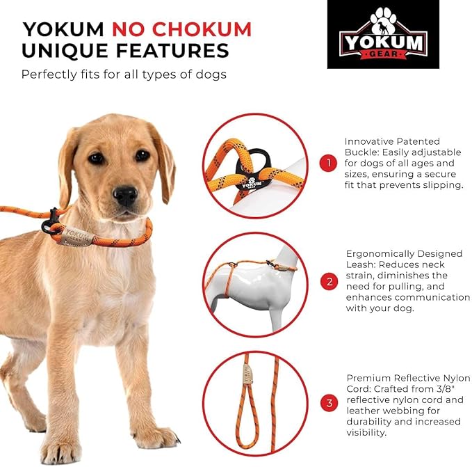 12ft No Pull No Choke Leash Long Rope Dog Leash, Anti Pulling, Dog Leads for Walking, Double Hook & Escape Proof for All Breeds, Reflective Orange