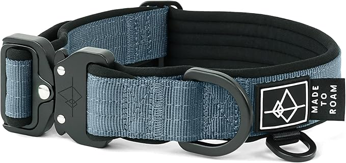 MADE TO ROAM Comfort Collar - Adjustable Nylon Dog Collar with Soft Comfortable Padding, Light Aviation Aluminum Metal Buckle for Small, Medium and Large Dogs (California Horizon, Size 5)