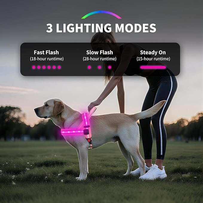 PetIsay LED Light Up Dog Harness - USB-C Rechargeable, IPX7 Waterproof, Reflective, No Pull Dog Vest with Soft Padded Handle for Night Walking(Blue, S)