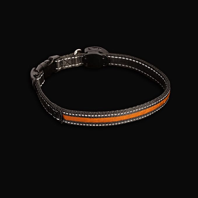 Sherry Kline LED Light-Up Pet Collar - USB Rechargeable - Flashing Glow in The Dark Size Small, Color: Orange