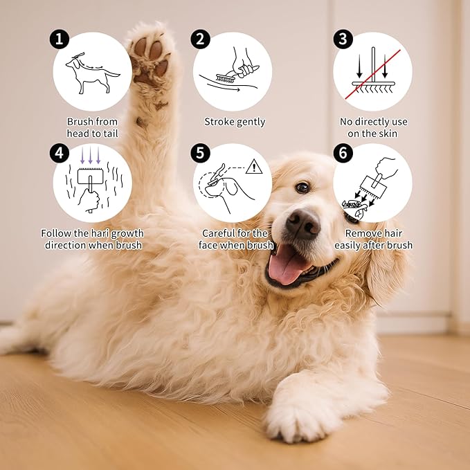 Slicker Brush for Dogs & Cats, Large Dog Brush for Goldendoodles Poodles Doodles Bernedoodles, Long Pin Grooming Tools to Dematting & Reducing Tangles and Fluff, Black
