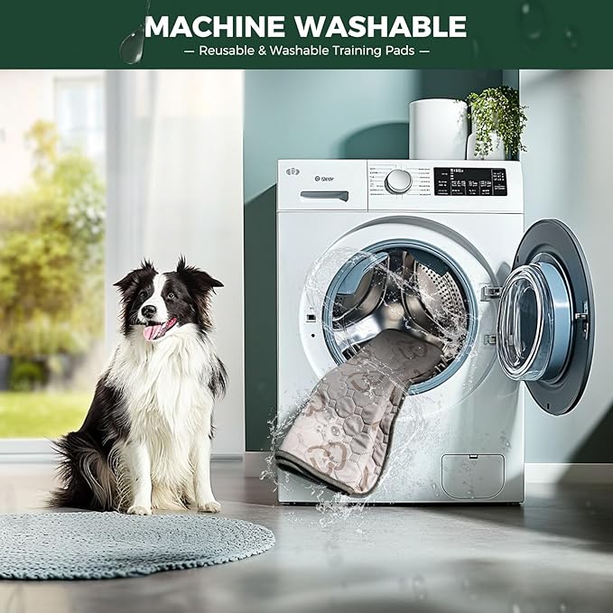 FXW Washable Pee Pads for Dogs, Leak-Proof & Non-Slip, Specifically Designed for Potty Training, Square, 39" x 39", 2 Packs