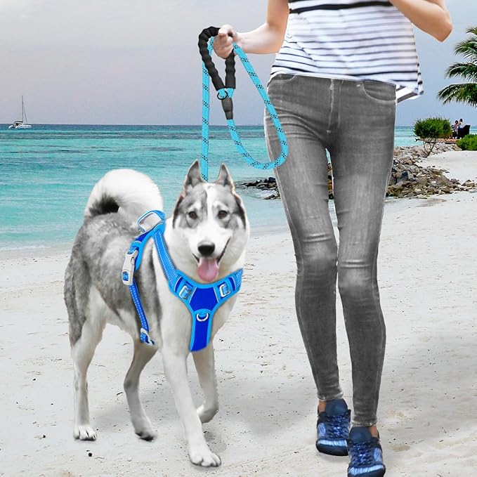 BARKBAY No Pull Dog Harness Large Reflective Dog Harness with Front Clip and Easy Control Handle for Walking Training Running with ID tag Pocket(Sapphire Blue & Blue,M)