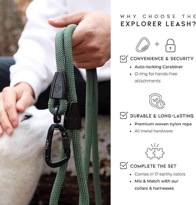 MADE TO ROAM Premium Explorer Leash - Climbing Rope Leash with Autolocking Aviation Aluminum Carabiner - Carolina Blooms, 6ft