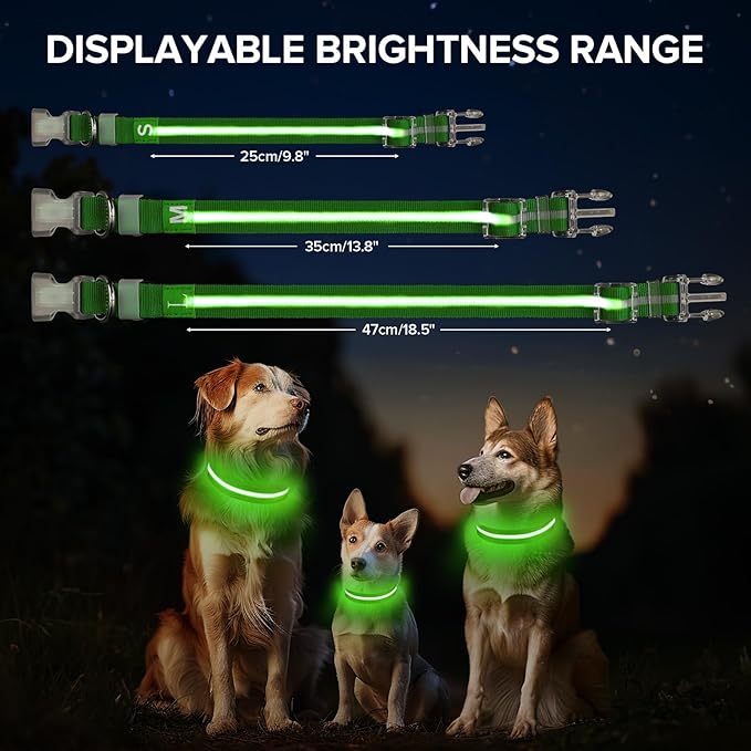 Jewyow Light Up Dog Collar, Adjustable USB Rechargeable Glow in Dark Dog Collar ，Waterproof Dog Collars for Small Dogs (Green, Small)