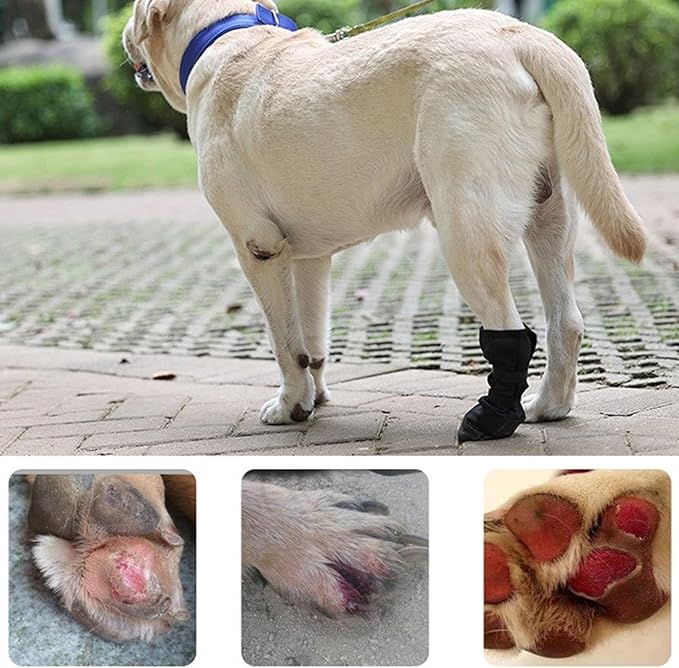 Protective Paws Boot for Dog Soft Breathable Shoes Water Footwear for Outdoor Sport Activity Dog Shoes