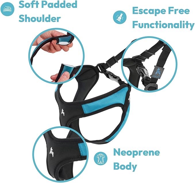 Gooby Escape Free Easy Fit Harness - Red, X-Small - No Pull Step-in Patented Small Dog Harness with Quick Release Buckle - Perfect On The Go No Pull Harness for Small Dogs or Medium Dog Harness