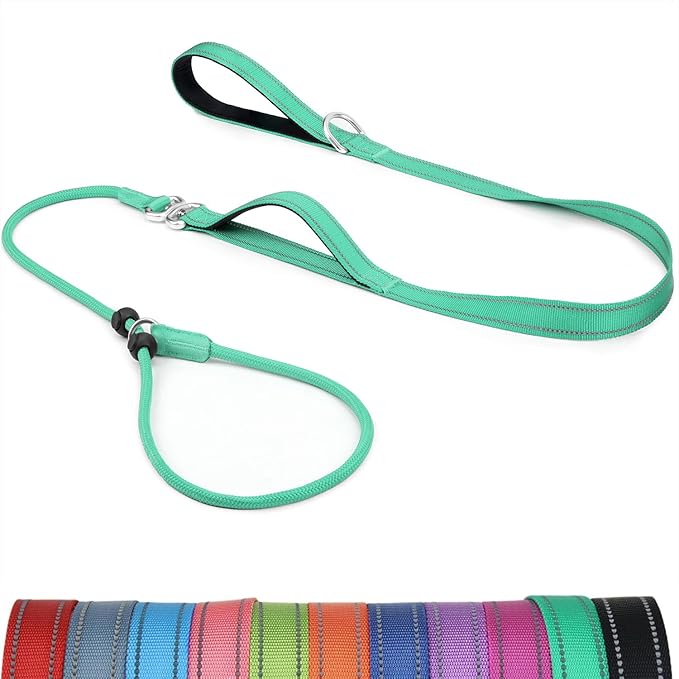 6FT Slip Lead Dog Leash with Double Padded Handle, Anti-Tangle Slip Leads for Dogs, Reflective Nylon No-Pull Training Leash for Small Medium Dogs, Turquoise