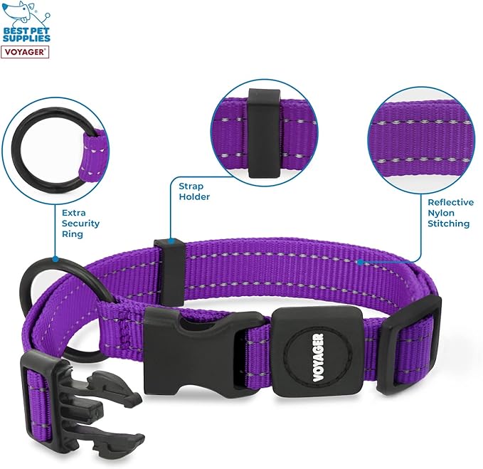 Best Pet Supplies Reflective Dog Collar with Adjustable Length, Heavy-Duty Buckle, and Strong Leash D-Ring, Training, Walking, Jogging Accessory for Small, Medium, and Large Breeds - Purple, S