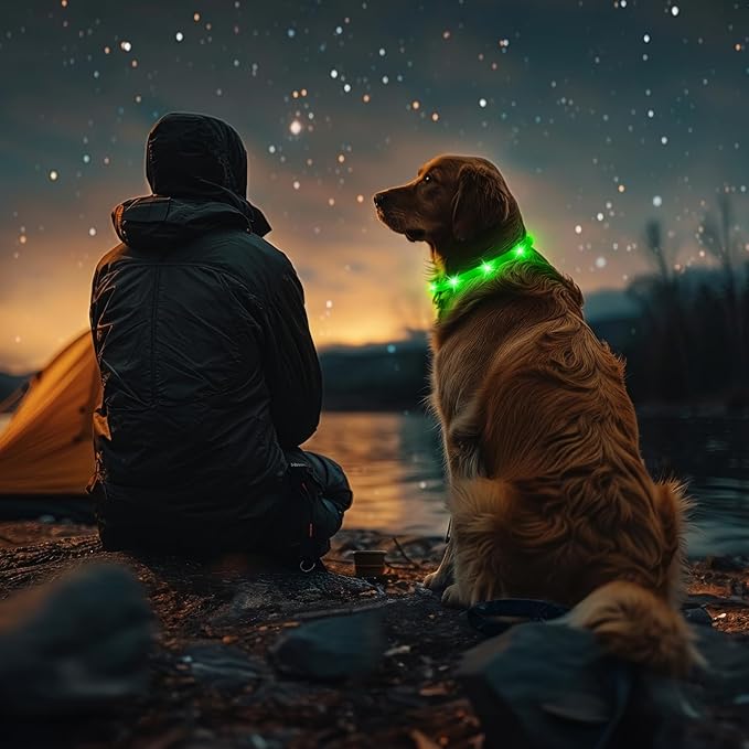 HIGO 2-Pack Light Up Dog Collar - Silicone LED Dog Collar Rechargeable Glow in The Dark, afety LED Dog Necklace Lights for Night Walking (Green)