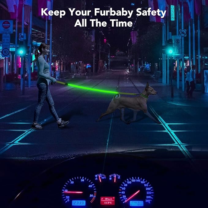 Colaseeme Light Up Dog Leash, LED Pet Leashes USB Rechargeable, Glow Safety Dogs Lights at Night (4FT,Green & Reflective Wires)