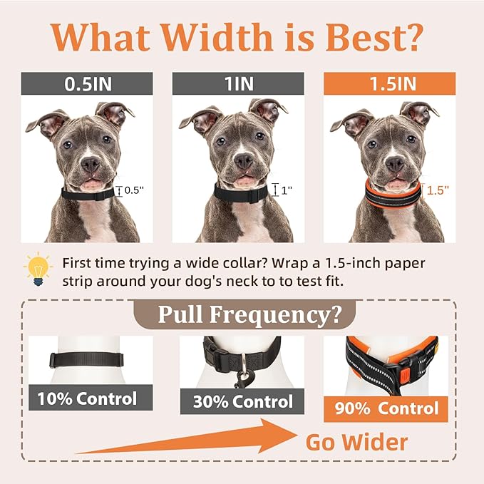 Mayerzon 1.5" Wide Martingale Collar for Large Medium Small Dogs Pitbull German Shepherd, No Pull Reflective Slip & Martingale Dog Collar with Buckle Soft Padded for Walking Training(Orange, XL)