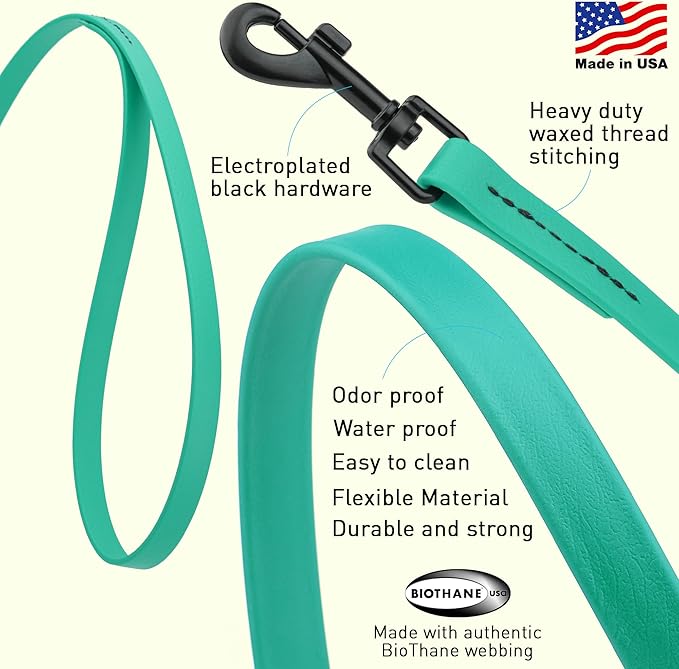 Dogline Biothane Waterproof Dog Leash Strong Coated Nylon Webbing with Black Hardware Odor-Proof Easy to Clean High Performance for Small or Large Dogs Made in USA 2 ft Lead, Teal