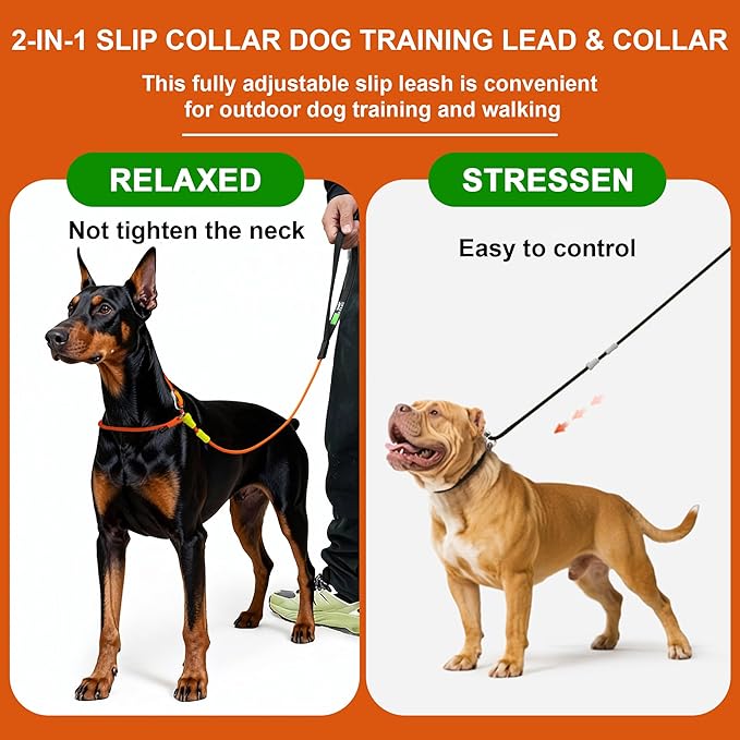 BeauGo|Dog Leash Slip Lead|Dog Training Leash,No Pull Training Lead,2-in-1Dog Lead & Collar,Strong Heavy Duty Braided,Professional Trainer Rope for Small Medium Large Dogs.Slip Leads for Dogs 6 FT