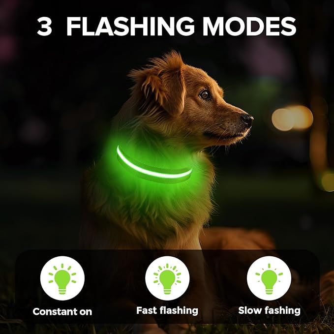 Jewyow Light Up Dog Collar, Adjustable USB Rechargeable Glow in Dark Dog Collar ，Waterproof Dog Collars for Small Dogs (Green, Small)