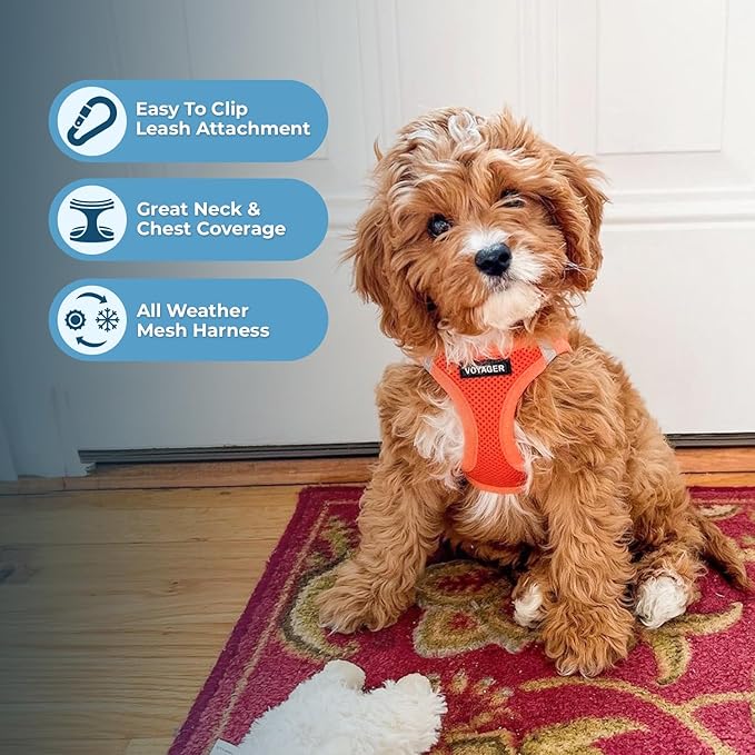 Best Pet Supplies Voyager Step-in Air Harness - All Weather Mesh, Reflective, No Pull Harness for Dogs, Cats - Secure with Hook & Loop Fastener, Buckle, Double D-Rings - Orange, XXXS