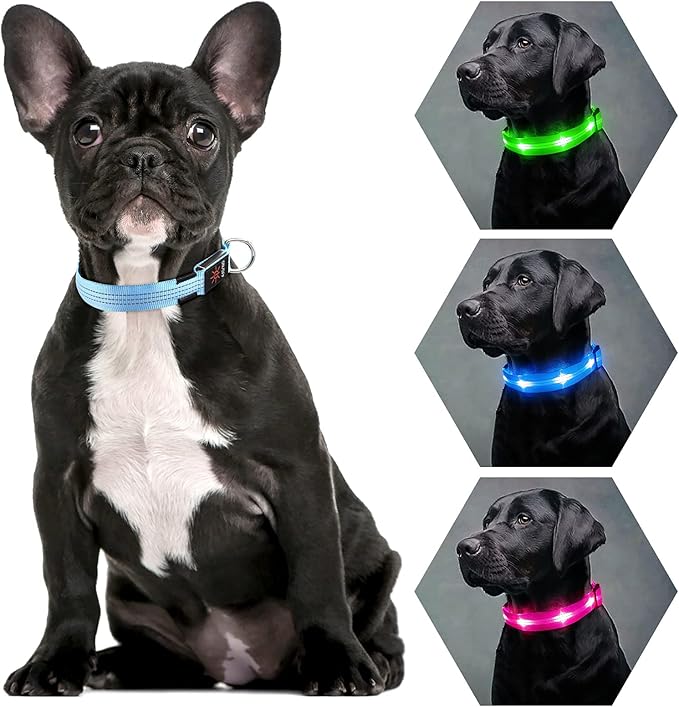 Weesiber Light Up Dog Collars - Rechargeable LED Collar - Reflective Adjustable Dog Lights for Night Walking (Blue, Large)