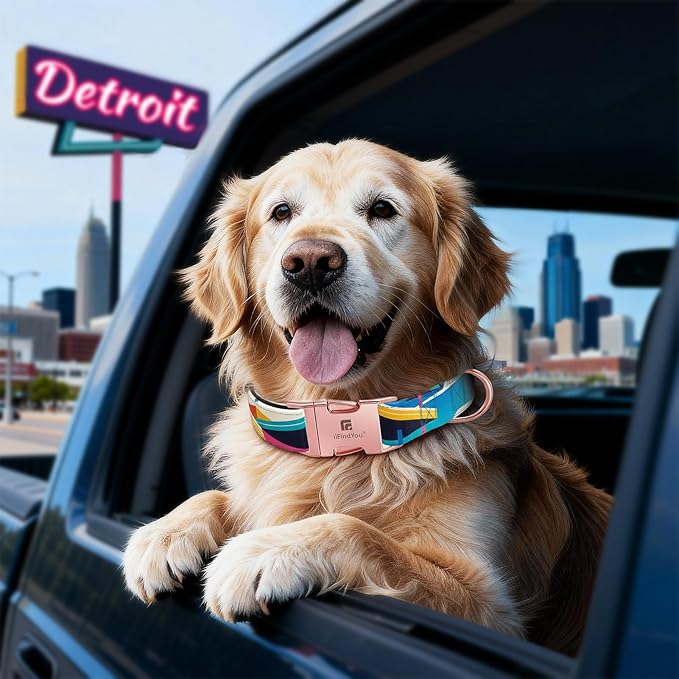 Dog Collar for Medium Dogs, Detroit Landscape Pattern, Heavyweight Polyester Adjustable Puppy Collar with Secure Metal Buckle，Suitable for Female Dogs M