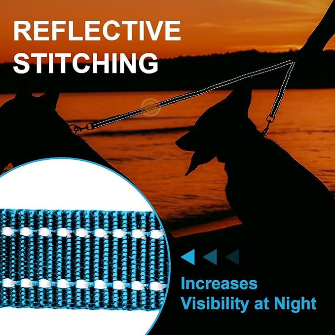 MingXpet Double Dog Leash for Two Dogs, No Pull Dog Leash, 360° Swivel No Tangle for Small Dogs Walking & Training, Shock Absorbing Reflective Bungee, Blue