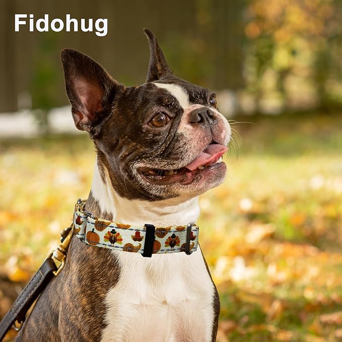 Thanksgiving Reflective Martingale Collar for Dogs with Quick Release Buckle Pumpkin Dog Collars (Yellow Chicken, Small)