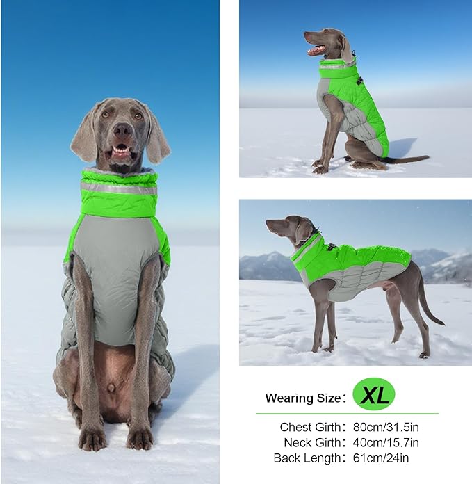 Warm Dog Coats for Medium Dogs, Waterproof Dog Jacket with Harness Built in, Zipper Clousure, Fleece Lining for Cold Weather Outdoor Walks, Snowsuit for Schnauzer, Boston Terrier, Pug - M