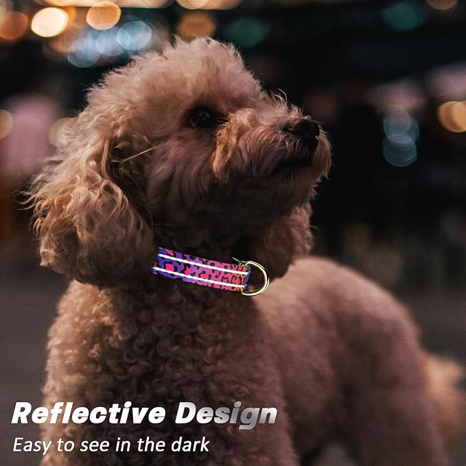 Reflective Dog Collar for Extra Small Dogs Cats, Cute Leopard Style Adjustable Heavy-Duty Nylon Puppy Collar for Boy and Girl Female, Soft Pet Accessories with Quick Release Buckle, Neon