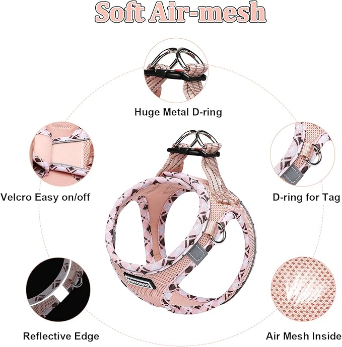 Mercano Soft Mesh Dog Harness and Leash Set, No-Chock Step-in Reflective Breathable Lightweight Easy Walk Vest Harnesses with Safety Buckle for Small Dogs, Cats (Champagne, XXS)