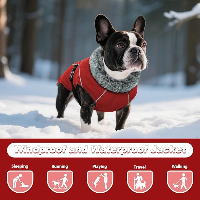 DENTRUN Winter Warm Dog Coat Reflective Jacket with Turtleneck for Cold Weather, Adjustable Buckle Windproof Water Repellent, Thick Snowsuit Fleece Vest for Small, Medium, Large Dogs, Red, M