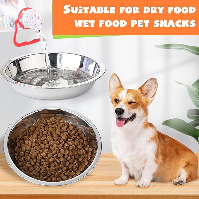 Patelai 8 Pcs Stainless Steel Dog Bowls with Silicone Lids Portable Food and Water Dishes for Pets Sealable Containers for Small Medium Dog Cat Indoor, 6.3 Inch (Red,Blue,Green,Purple)
