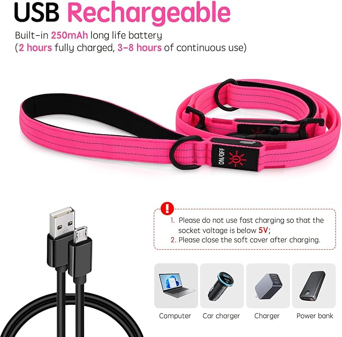 Dlitk Light Up Dog Leash, LED Leashes Rechargeable, Nylon Reflective Lead with Padded Handle for Night Walking, Safety Glow Lights for Large Medium Small Dogs(Pink,(4 Ft+2 Ft))