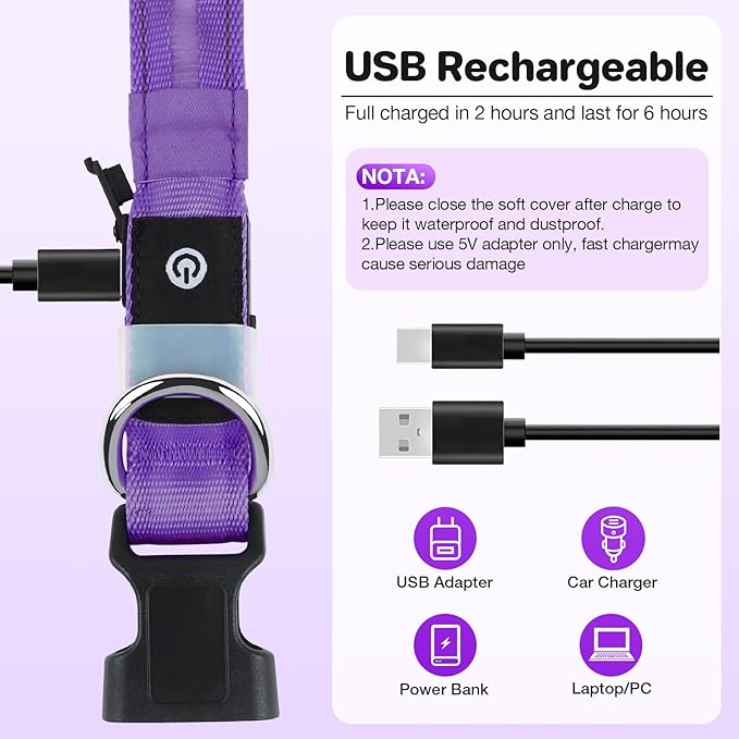 Fiveda Light Up Dog Collar, USB Rechargeable 6 Modes, Waterproof Charging Port, Long Lasting LED Collar - Adjustable Nylon Reflective for Dogs, Sizes S/M/L (7/9/11 Lights) - Purple, S