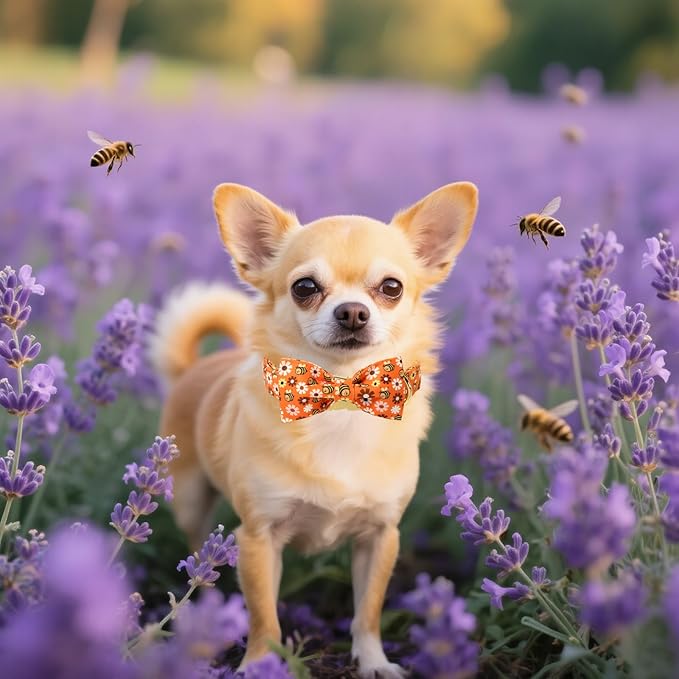 Unique style paws Cotton Dog Collar with Bow Autumn Puppy Collar with Bee Daisy for Small Medium Large Boys Girls Dogs