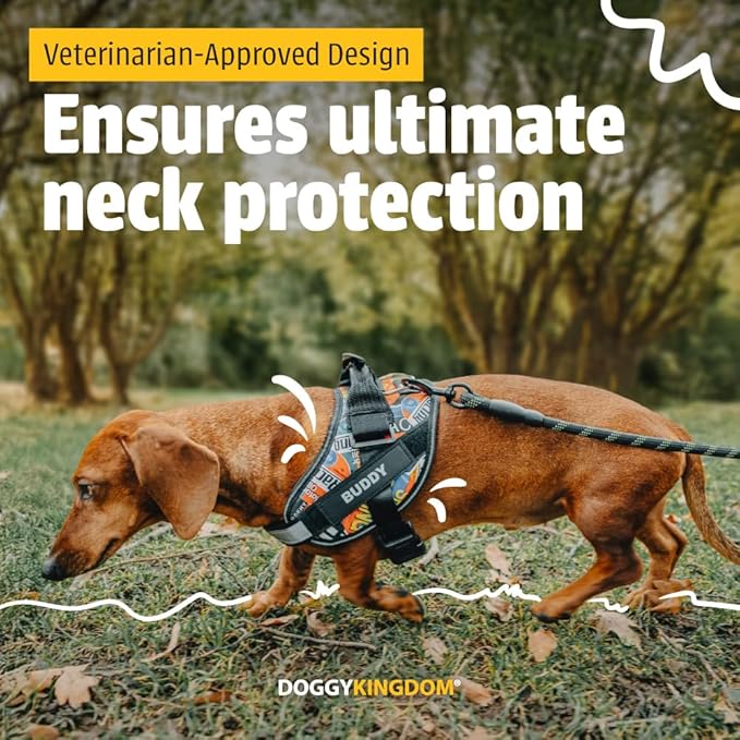 Personalized No-Pull Dog Harness with Name Patch, Adjustable, Reflective, Padded, Heavy Duty Pet Vest to Prevent Tugging, Pulling, or Choking, Training and Walking, Light Blue, XS