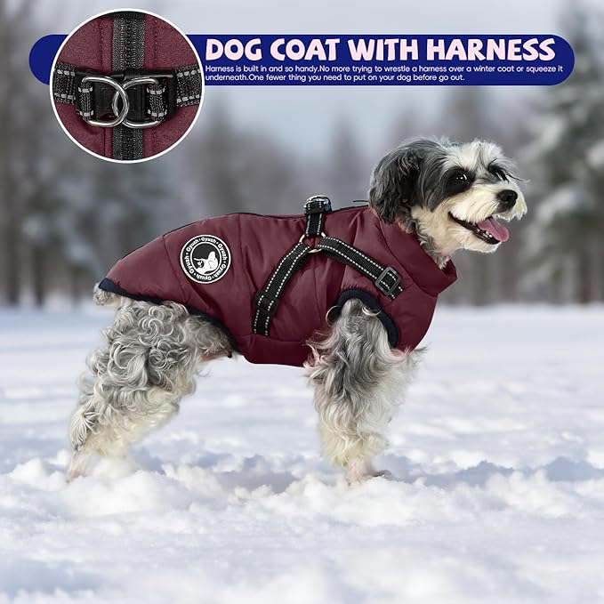 Gyuzh Dog Coat with Harness - Waterproof Winter Dog Coat, Fleece Lined, Adjustable, Reflective, for Medium Dogs - Large, Purple