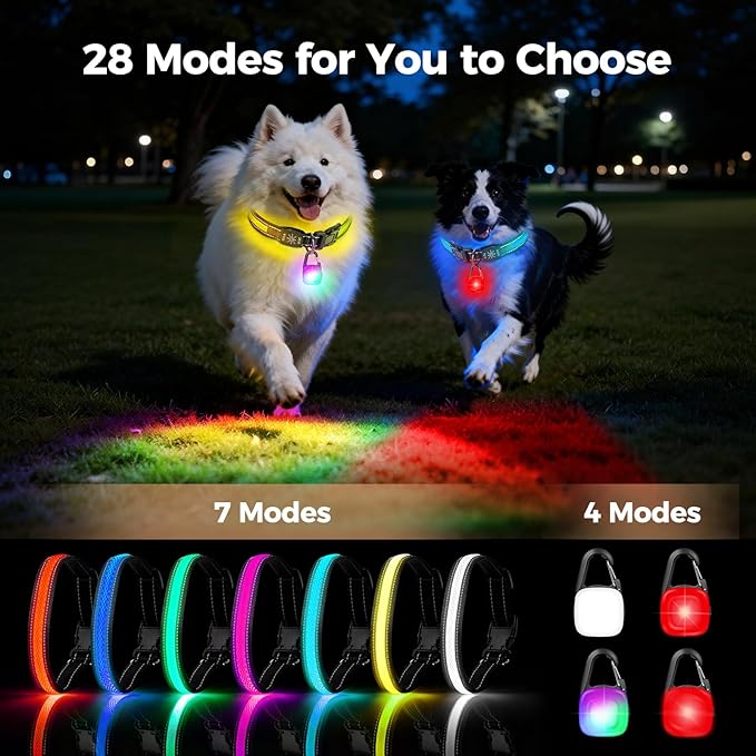 Light Up Dog Collar with Dogs Light Set,2 Pack Adjustable Rechargeable LED Dog Collar Light for Night Walking for Small Medium Large Pet