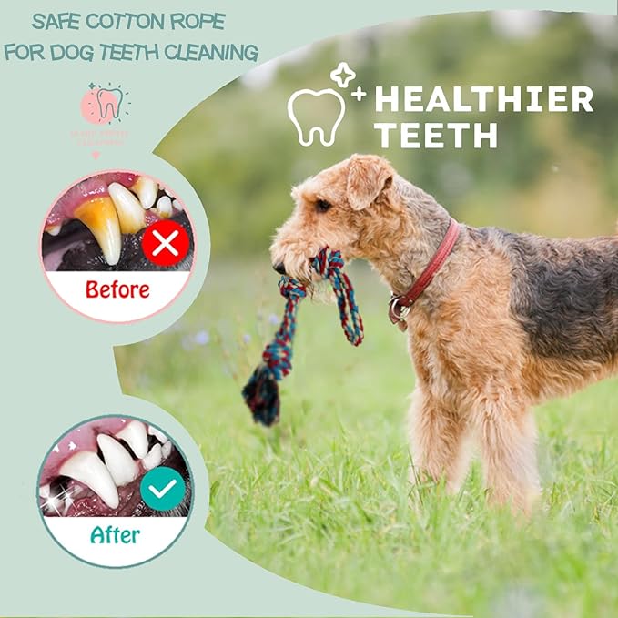 Cdyzqikm 3-Pack Heavy Duty Dog Rope Toy, Tough Chew Toys, Durable Interactive Tug of War &Teeth Cleaning Ropes for Large and Medium Aggressive Chewers (3-Pack, Large)