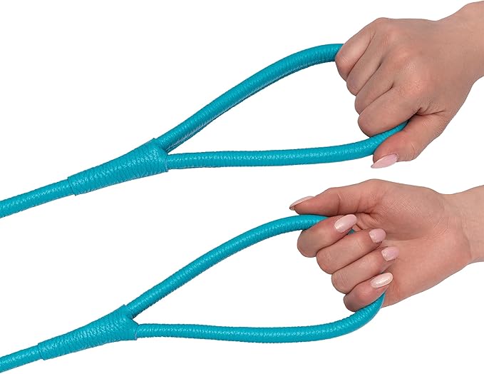 OOPSDOGGY Rolled Leather Dog Lead 6ft Heavy Duty Training Leash for Small Medium Large Dogs & Puppy Black Brown Red (Blue, Large)