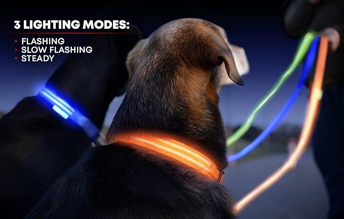 ILLUMISEEN LED Dog Collar USB Rechargeable - Bright & High Visibility Lighted Glow Collar for Pet Night Walking - Weatherproof, in 6 Colors & 6 Sizes (Pink X-Small)
