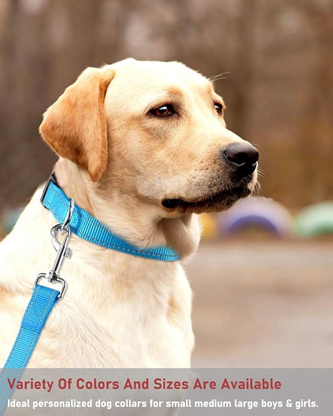 Reflective Dog Collar with Buckle Adjustable Safety Nylon Collars for Small Medium Large Dogs, Sky Blue XS