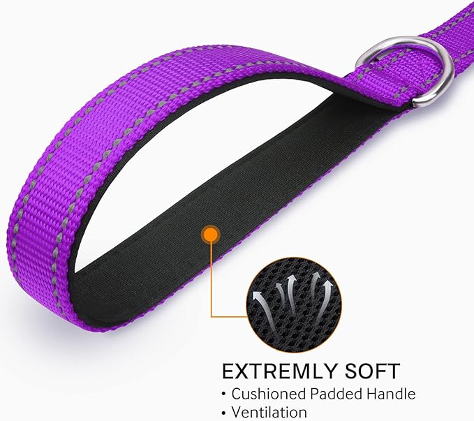 Joytale Dog Leash, 6 FT Double-Sided Reflective, Padded Handle Nylon Heavy Duty Leashes for Small & Medium Dogs Walking, Purple