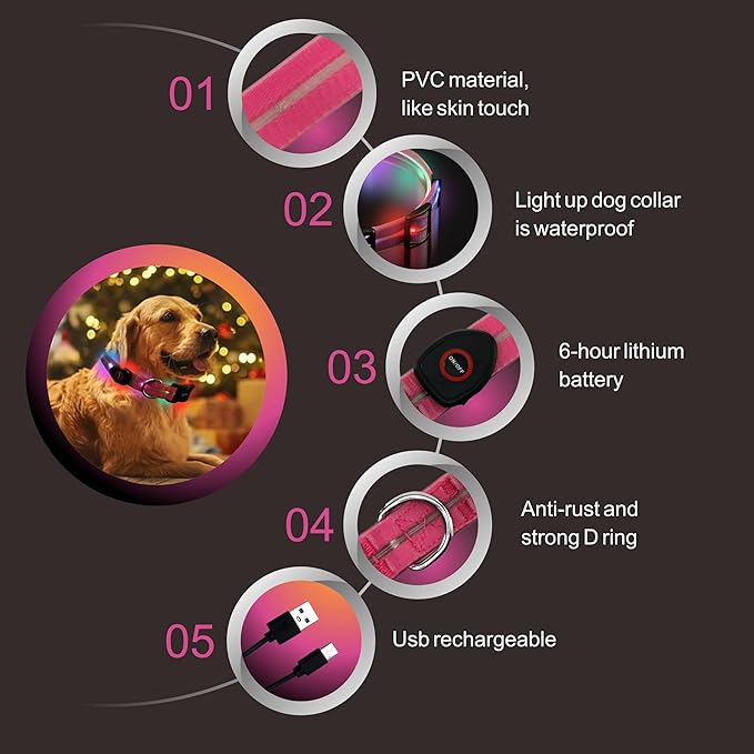Light up Dog Collars, LED Dog Collar, Lighted Safety Collar for Walking at Night for Small Medium, Large Dogs (Cute Pink)
