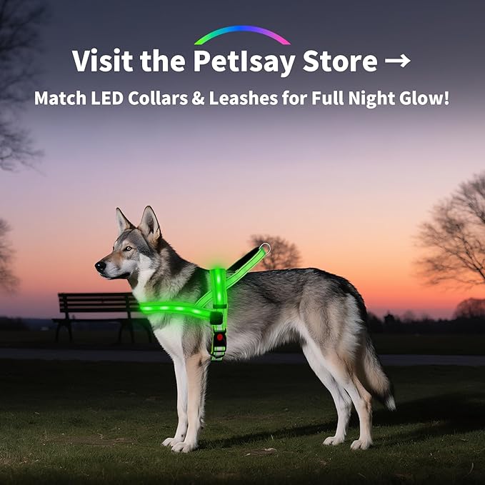 PetIsay LED Light Up Dog Harness - USB-C Rechargeable, IPX7 Waterproof, Reflective, No Pull Dog Vest with Soft Padded Handle for Night Walking(Blue, S)