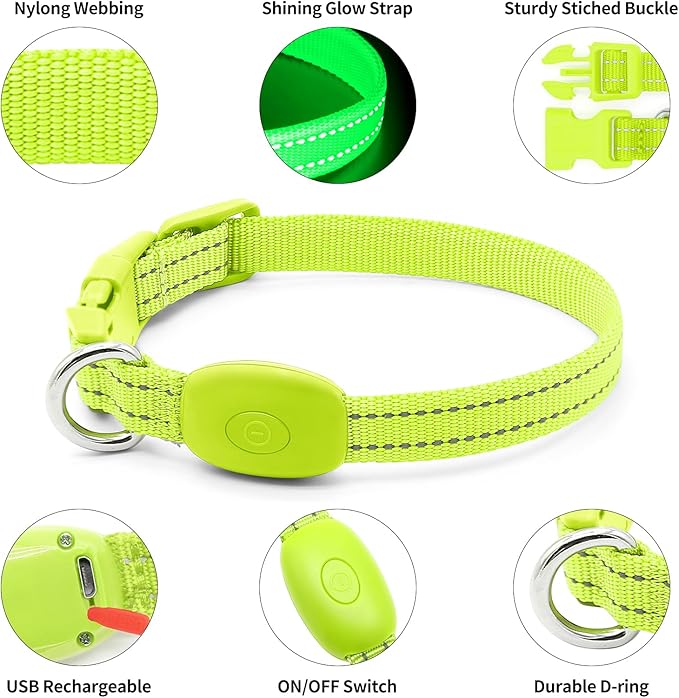 DOMIGLOW Light Up Collar for Small Dogs Cats - Reflective LED Dog Collar Glow in The Dark, Safety Pet Collar Lights for Nighttime Walking (Green)