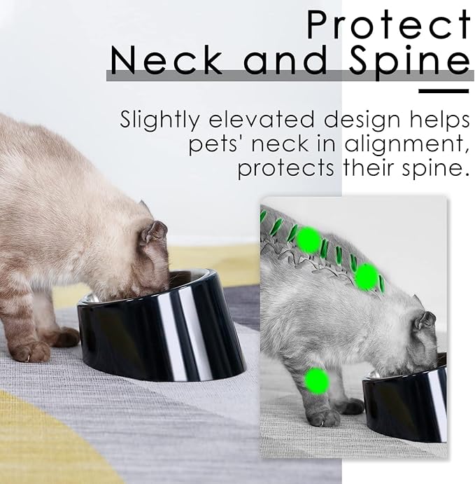 SuperDesign Mess Free 15° Slanted Bowl for Dogs and Cats, Tilted Angle Bulldog Bowl Dog Feeder, Non-Skid & Non-Spill, Easier to Reach Food M/1 Cup Dark Black