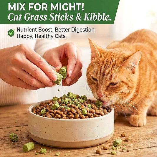 NSWXZDS 100g/3.5oz Cat Grass Teething Stick Cats Toy Chew for Removal Hairball Lickable Kitten Treat Catnip Snack for Indoor Edible Freeze Dried Kitty Food for Dental Care Health Elimate Hairball