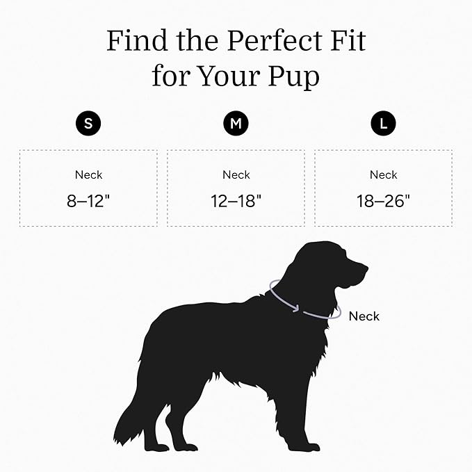 2025 New Edition, Fei & Eve PVC MagEase Dog Collar - Patented Magnetic Buckles | Fur-Safe | 450LB Escape-Proof | Adjustable Fit | Medium (Glacier Green)