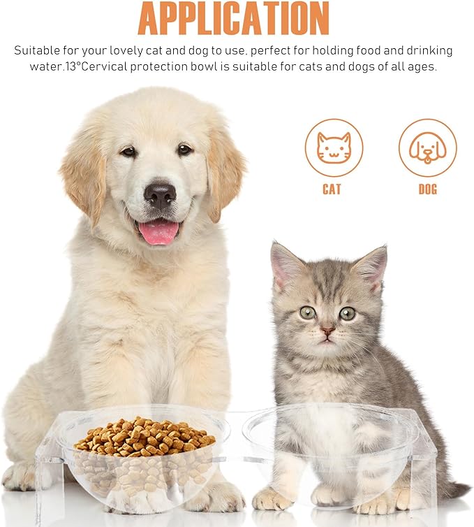 COOLHIYA Transparent Acrylic Double Pet Bowl for Cats and Puppies Household Food and Water Basin with Moderate Height Whisker-Friendly Indoor Feeder Designed to Prevent Spills and Reduce